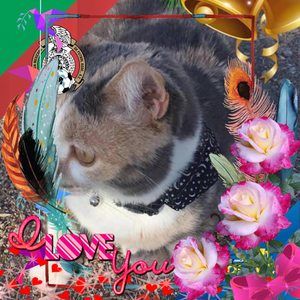 Meet your Posher, Aura